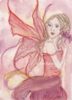sunset fairy